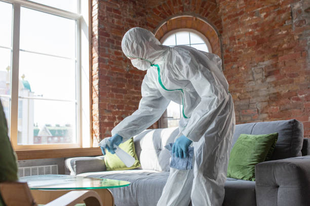 Best Mold Prevention Services  in USA